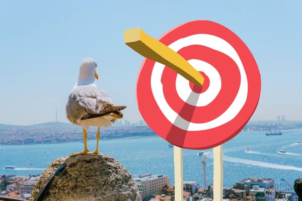 Seagull set his goals straig