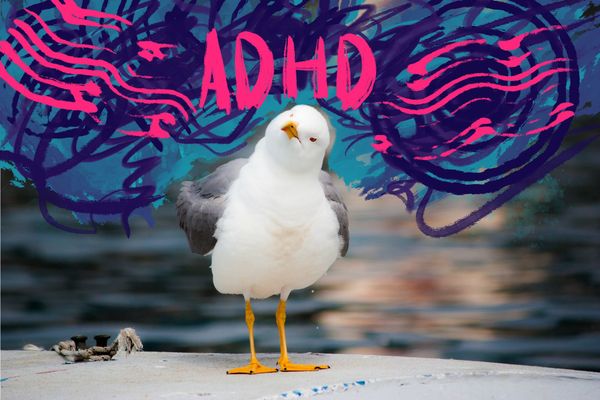Cover image for My most helpful strategies for mastering ADHD